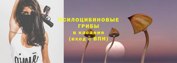 хмурый Верхний Тагил