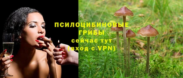 не бодяженный Верея