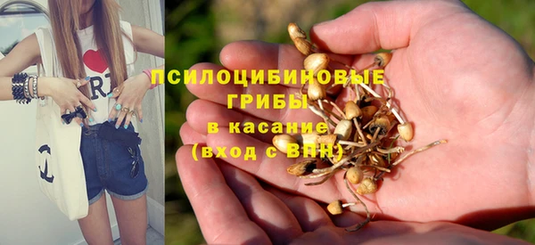 меф Бородино