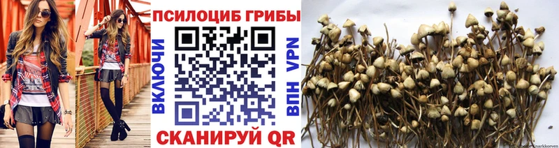 Псилоцибиновые грибы Magic Shrooms Вязьма
